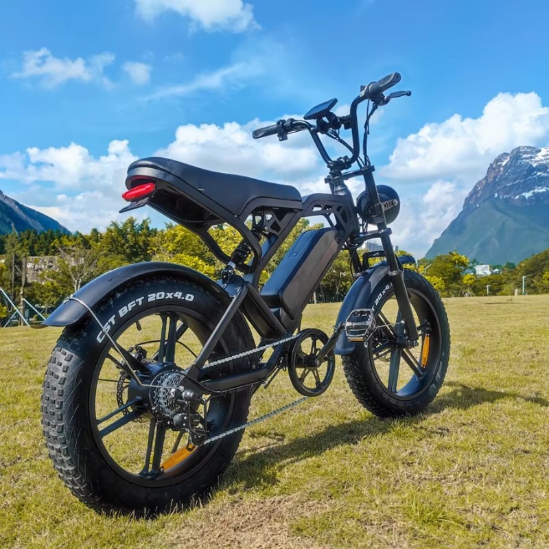 YTYIN 2024 中国製工場高品質カスタム格安電動自転車 - Electric Scooter のレビューと価格